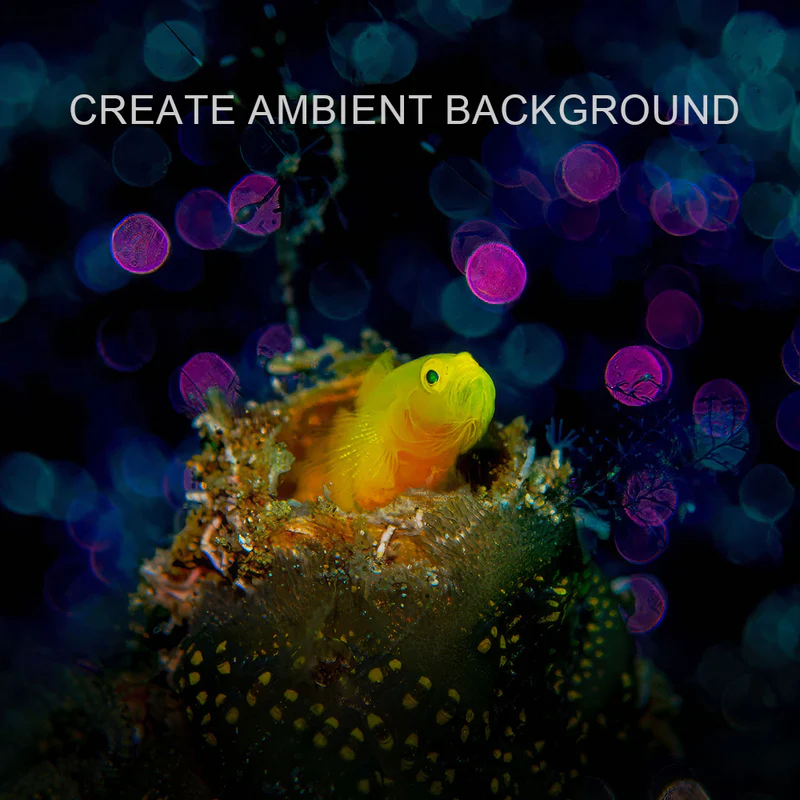 DiveVolk Color Filter wheel