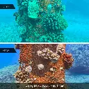 DiveVolk Filter 67mm