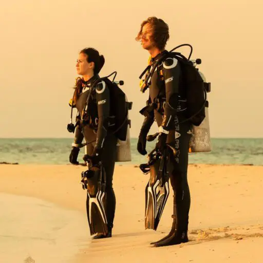 Waterproof W5 W/O Pocket