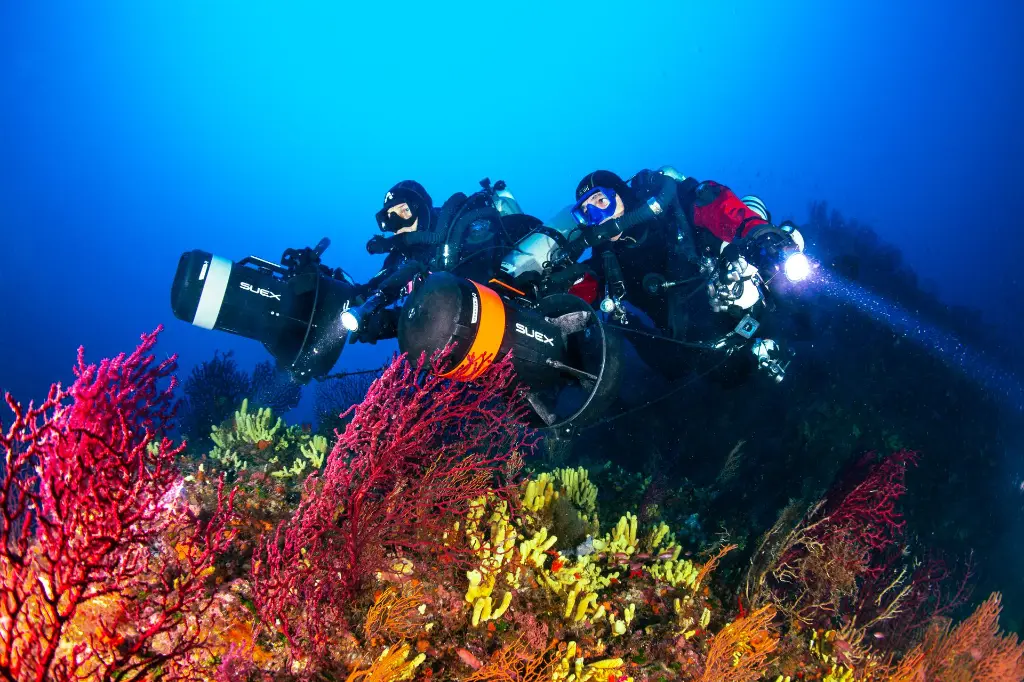 NEW VR SERIES 16.webp