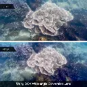 WechatIMG2108.webp