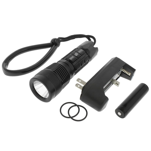 [LT6650] DiveRite BX2 Handheld Light